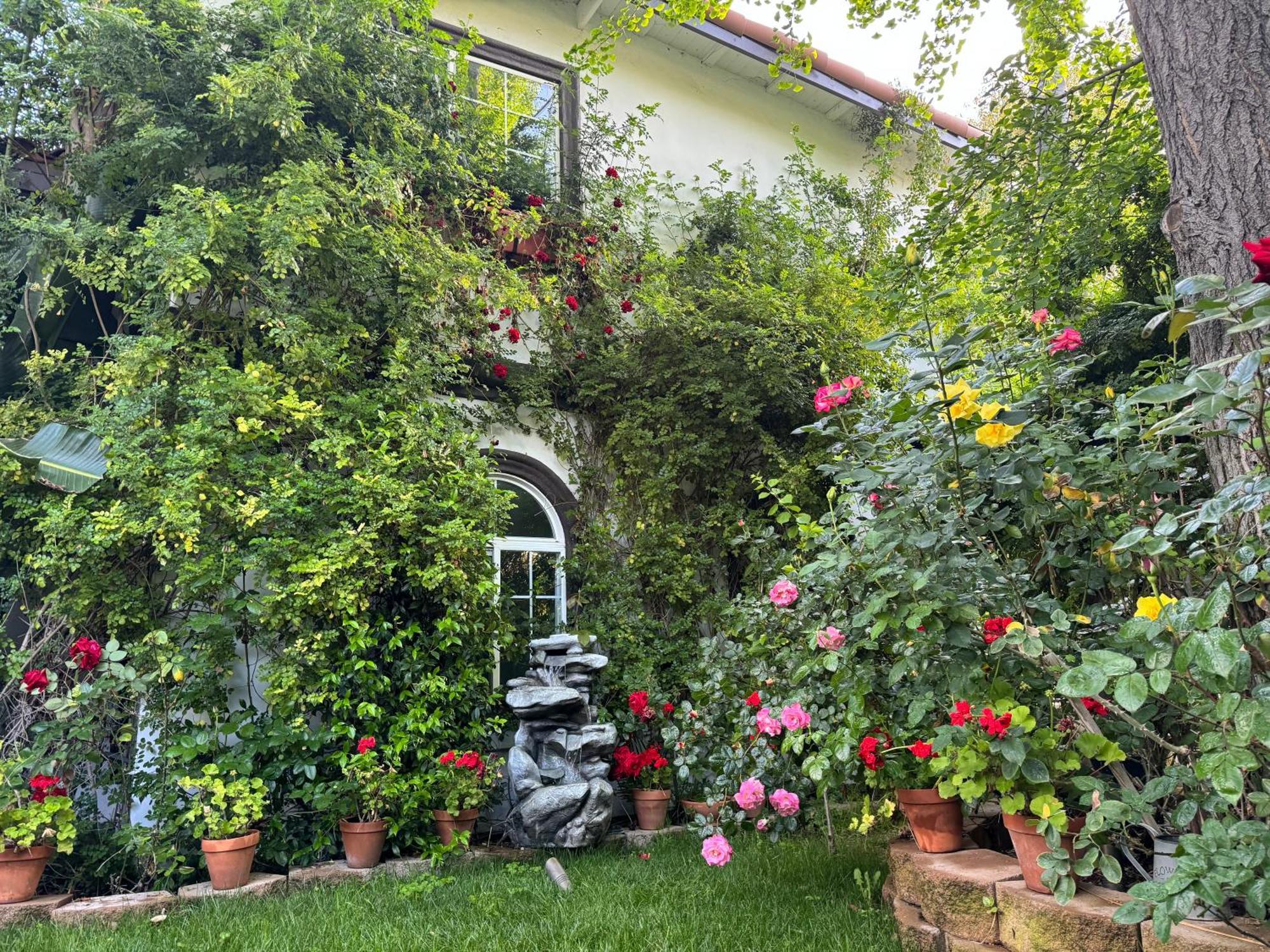 Angeles Hideaway - Costanso