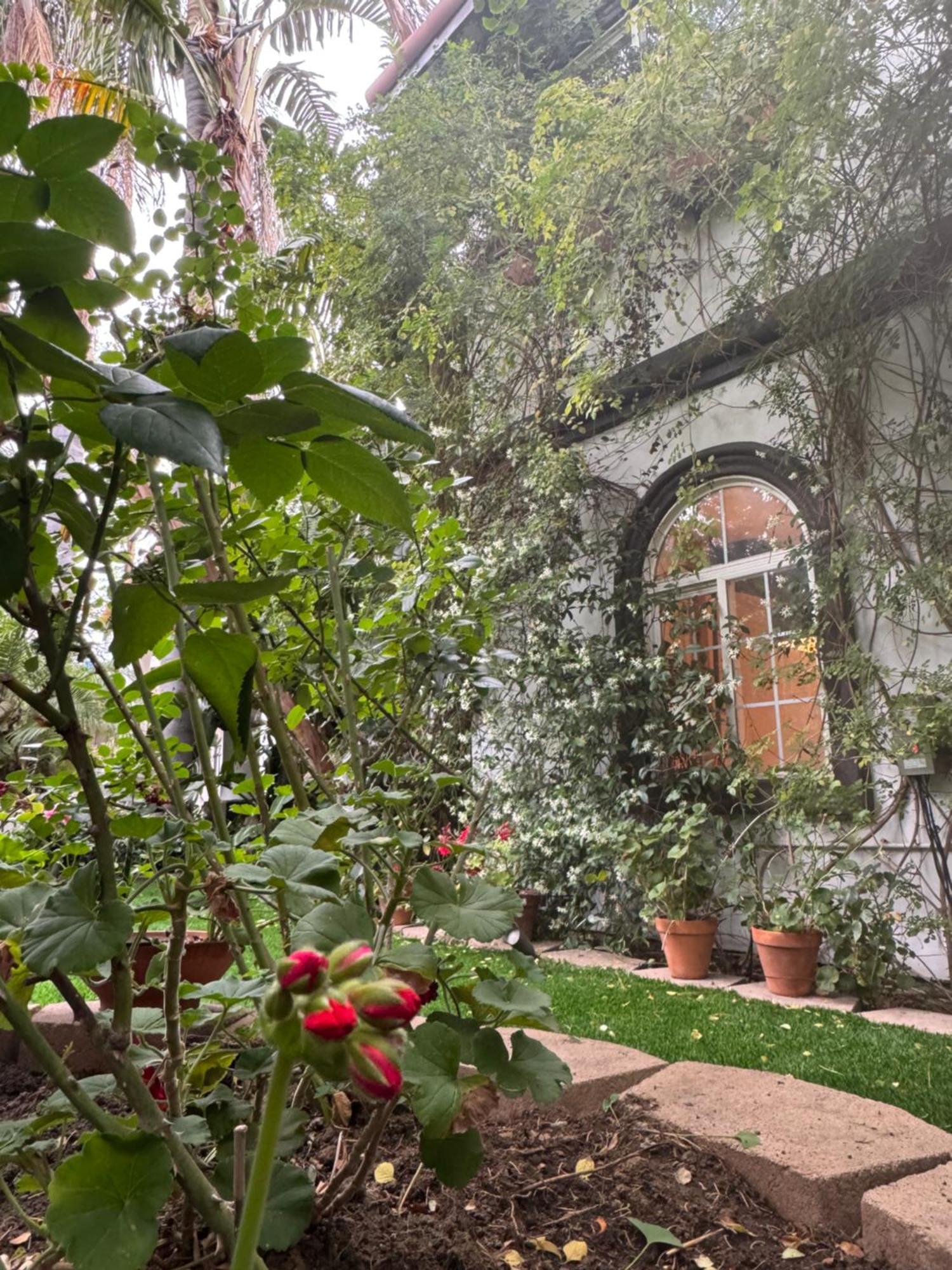 Villa Angeles Hideaway - Costanso